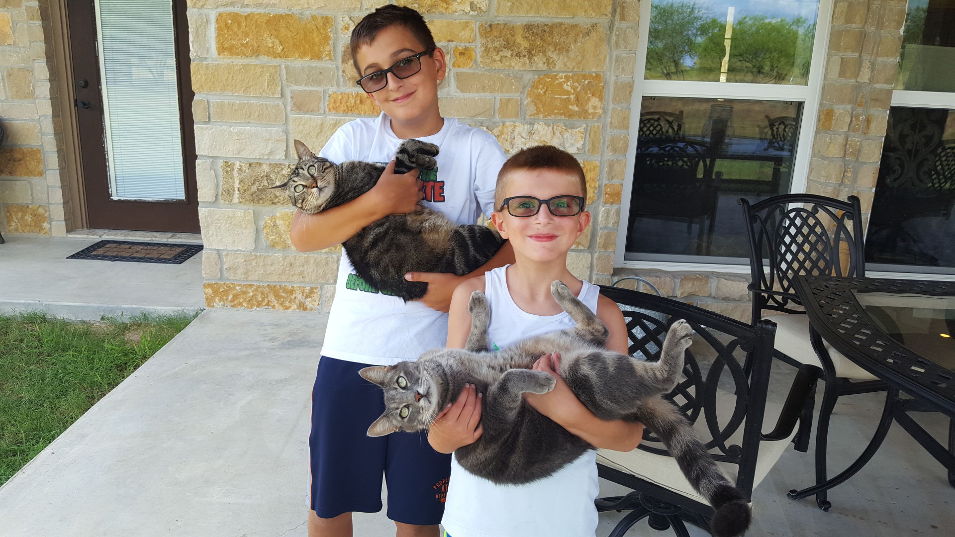Cat selfies: Sibling Love